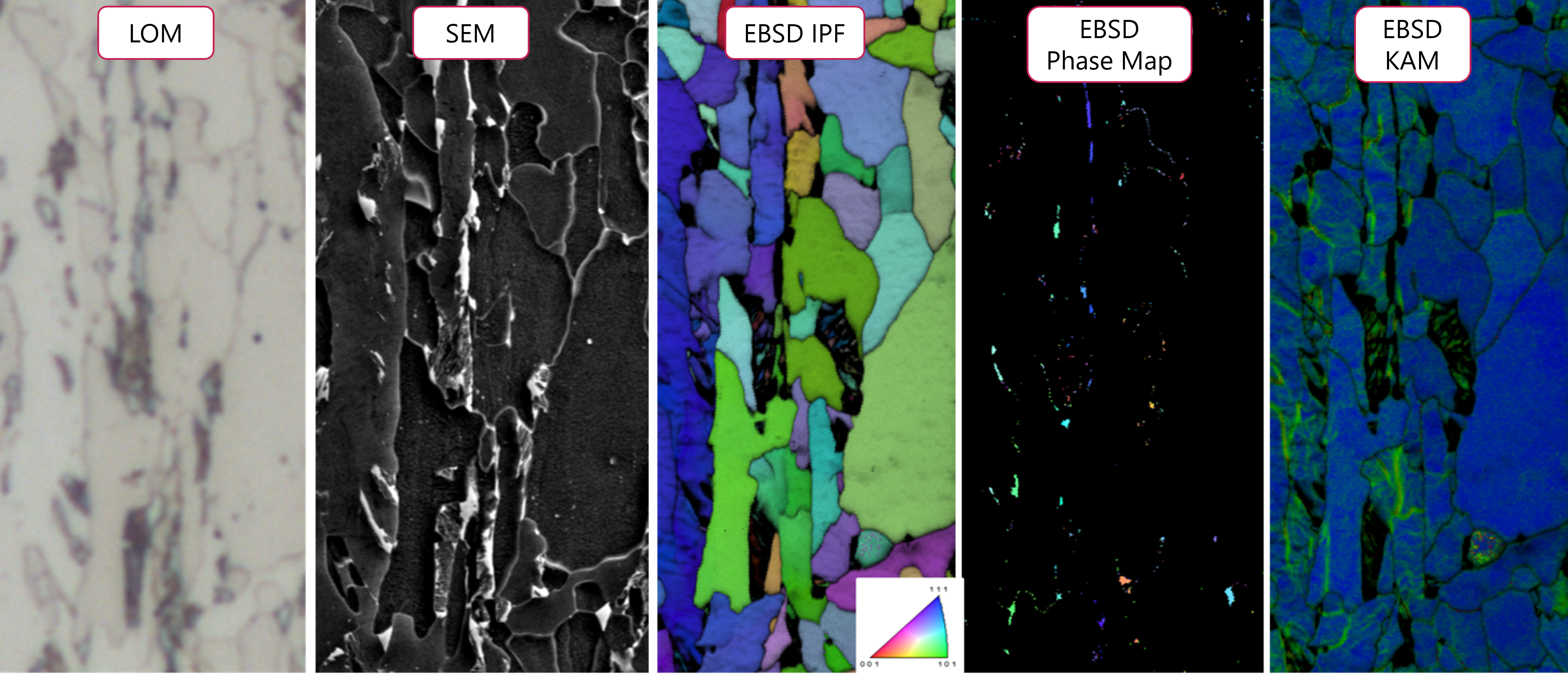 Deep Learning Approaches for Multimodal Image Registration in Microscopy (Master Thesis)